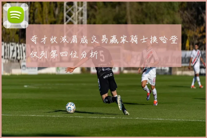奇才收浓眉成交易赢家骑士换哈登仅列第四位分析